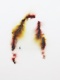 Caroline Pages - Elisa P�ne