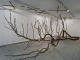 Caroline Pages - Em Cima da Terra e Debaixo do C�u #2, 2008