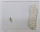 Caroline Pages - Um sapato pequeno e outra superf�cie, 2002