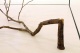 Caroline Pages - Em Cima da Terra e Debaixo do C�u #1, 2008 (detail)