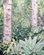 Caroline Pages - S�rie love (�rvores), 2018