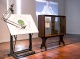 Caroline Pages - Aut�ctone