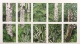 Caroline Pages - S�rie Love (jardim), 2017
