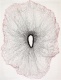 Caroline Pages - Desenhos T�cteis #2, 2012