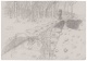 Caroline Pages - Morfog�nese do Oco, 2011