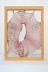 Caroline Pages - Desenhos T�cteis #4, 2012