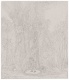 Caroline Pages - O detalhe imenso. Honi, o tra�ador de c�rculos 2: Tentativa de medi��o de uma clareira, 2010