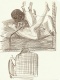 Caroline Pages - Comp�ndio de geometria clitoridiana: O intruso, 2014
