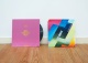 Caroline Pages - S�rie Love (Multilove  Heartbeats), 2016