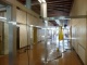 Caroline Pages - Exhibition view