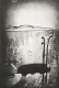 Caroline Pages - Sem t�tulo #1, 2013/14