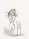 Caroline Pages - M�rka Lugosi