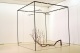 Caroline Pages - Em Cima da Terra e Debaixo do C�u #1, 2008