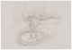 Caroline Pages - Isso. O detalhe imenso. Honi, o tra�ador de c�rculos 1: Tentativa de medi��o de uma clareira, 2010